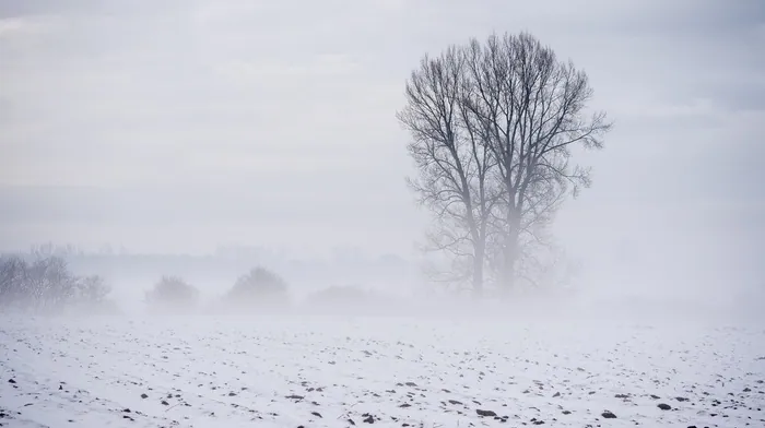 landscape, snow, trees wallpapers