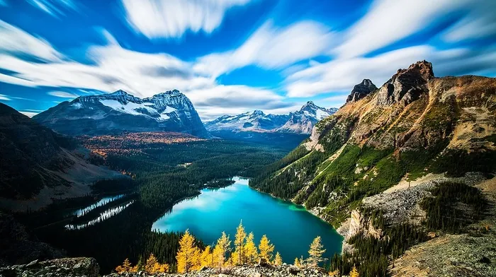 long exposure, forest, colorful wallpapers