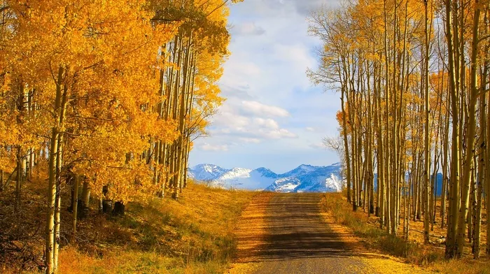 nature wallpapers