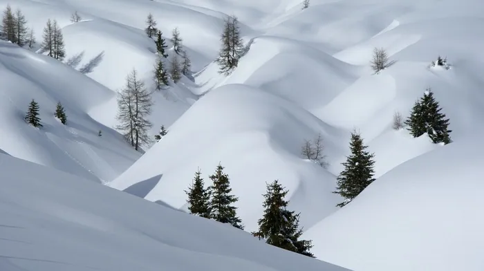 nature, snow, photography wallpapers