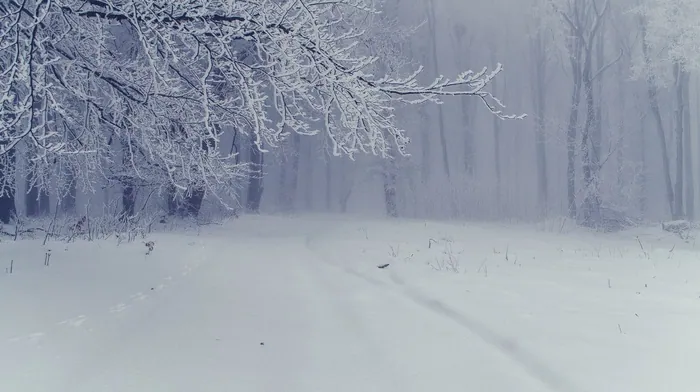winter wallpapers