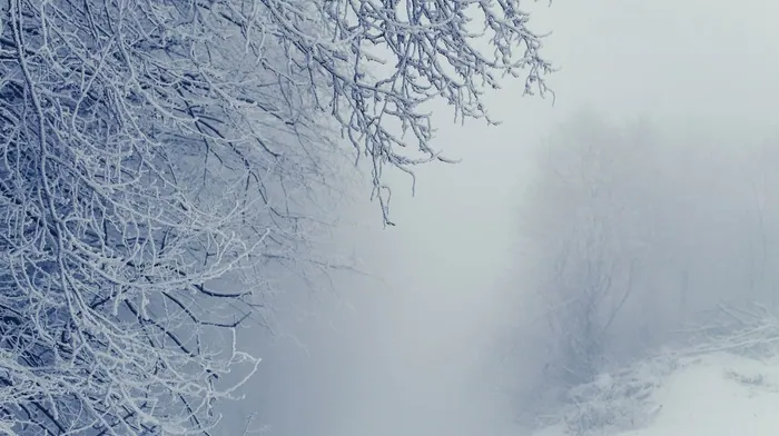winter, icy day, snow wallpapers