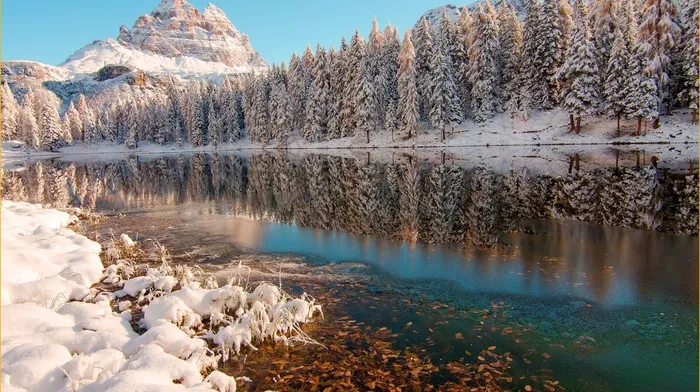 photography, reflection, nature wallpapers