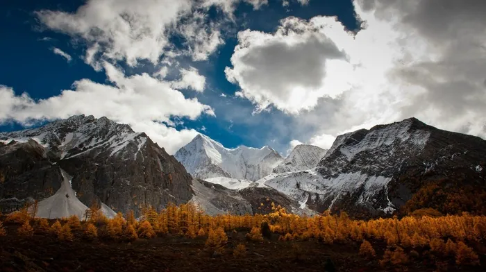 mountains, forest, landscape wallpapers
