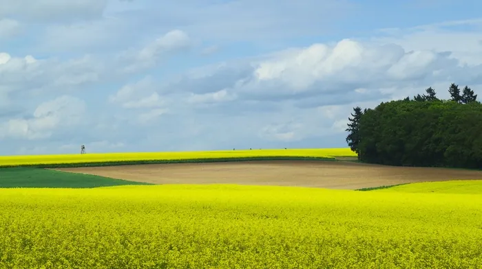 field, germany, spring wallpapers