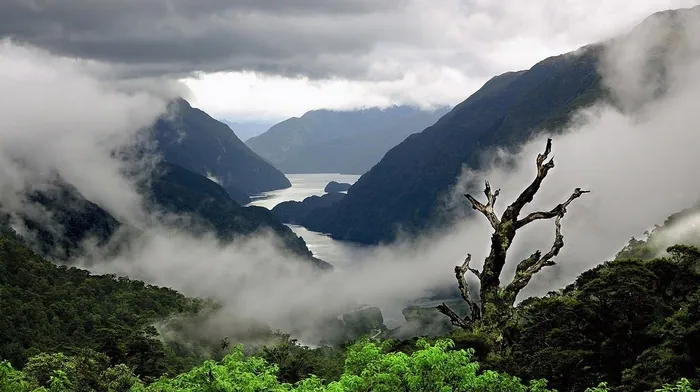 landscape, mist, nature wallpapers