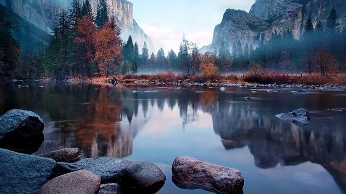 mist, trees, river wallpapers