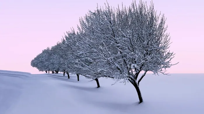 winter, seasons, landscape wallpapers
