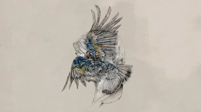 artwork, wings, tut tut child wallpapers