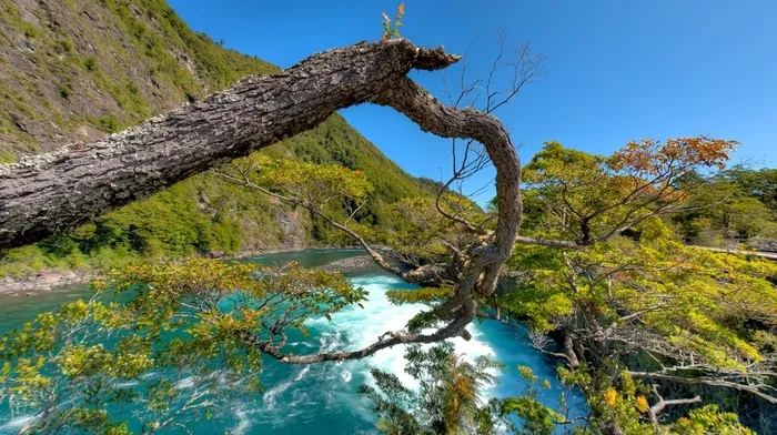 river, landscape, trees wallpapers