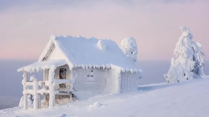 wood, frost, nature wallpapers