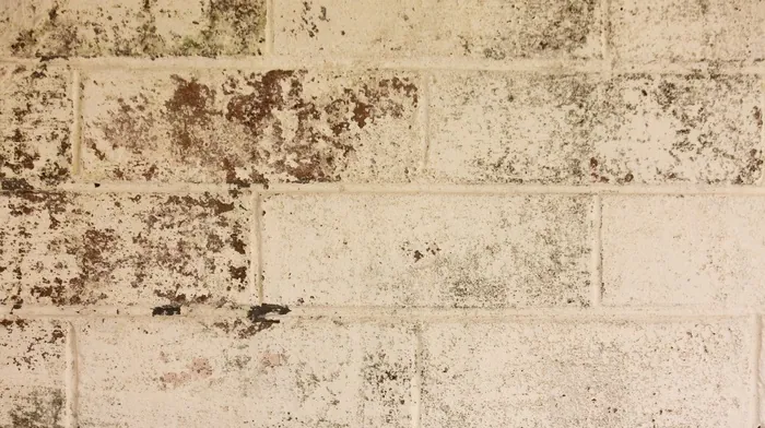 texture, bricks, wall wallpapers
