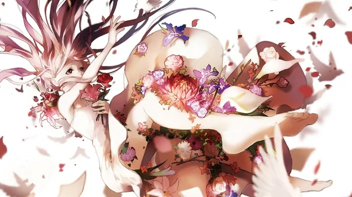 birds, deemo, dress wallpapers