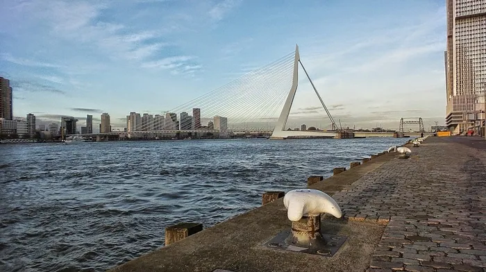 bridge, rotterdam wallpapers