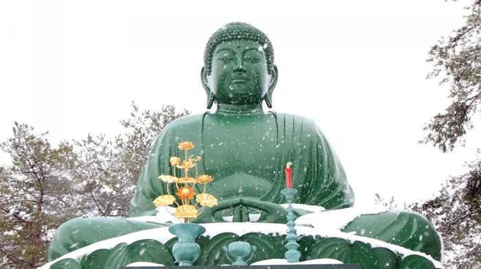 winter, buddha, meditation wallpapers