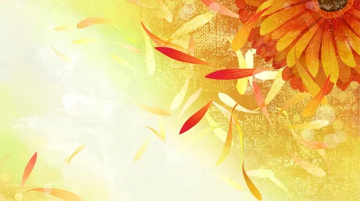 petals, minimalism, texture wallpapers
