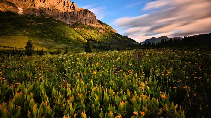 landscape, rock, field wallpapers