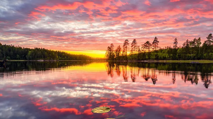 A beautiful sunset over a lake with trees in the background