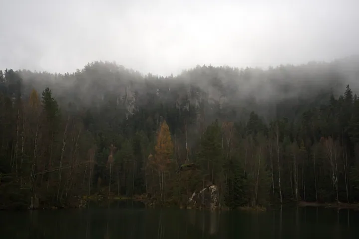 A lake surrounded by trees in the middle of a forest, with the water reflecting the sky and clouds above