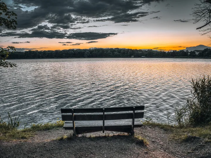 A bench sitting on the shore of a lake at sunset, surrounded by lush green grass, plants, and trees