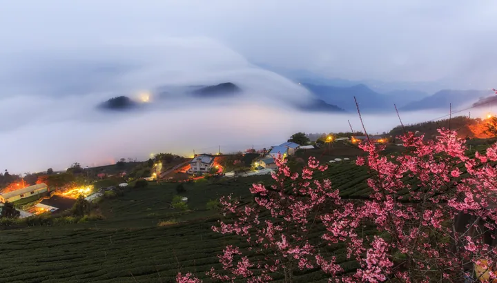 A small town nestled in the middle of a lush green field, surrounded by trees and plants