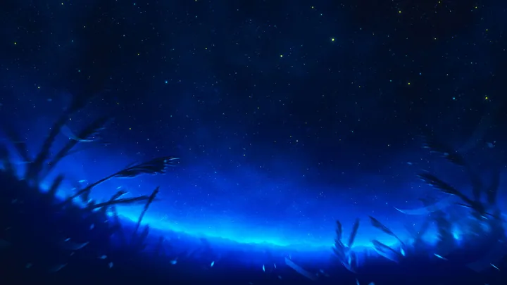 Night Sky With Blue Aurora And Silhouetted Grass — original wallpaper