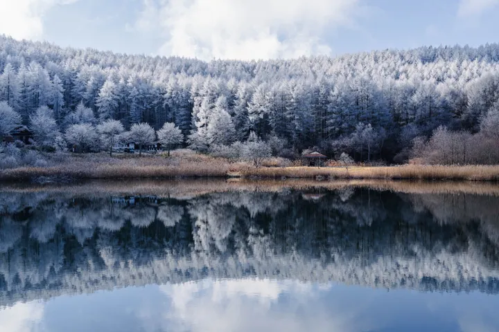 nature, trees, water wallpapers