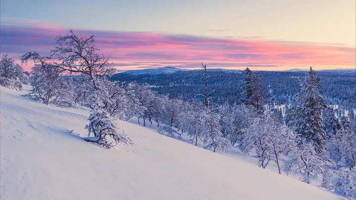 Snowy Mountain Sunset With Pine Trees wallpapers