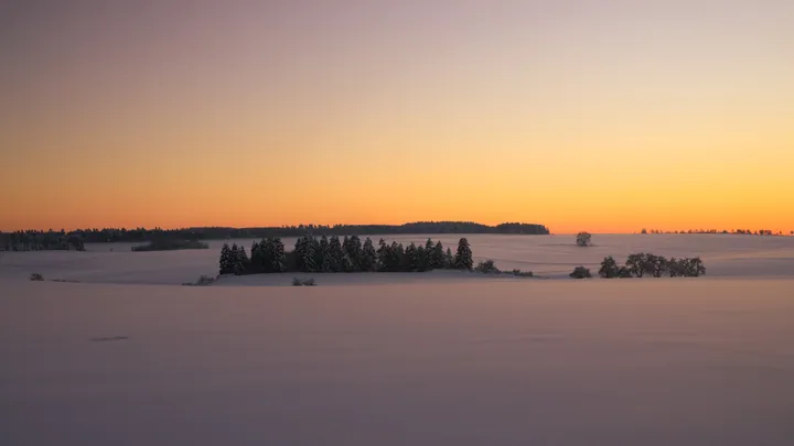 A snow covered field with trees in the background, illuminated by a beautiful sunset