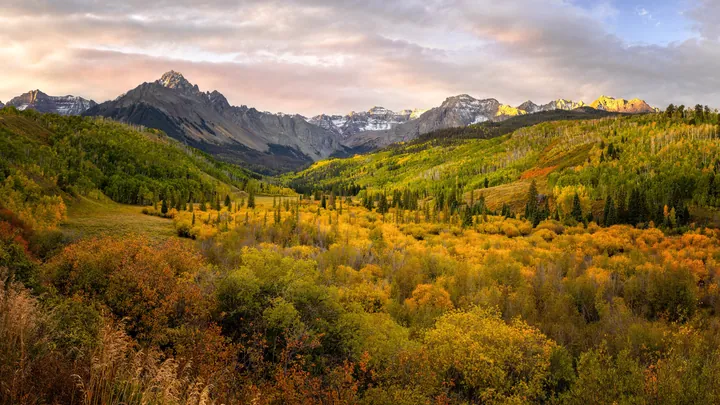 Sunlit Forest In San Juan Mountains — original wallpaper