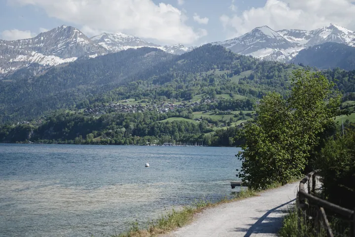 A dirt road next to a body of water with trees on either side and mountains in the background