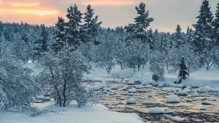Snowy Forest Sunset With Pine Trees wallpapers