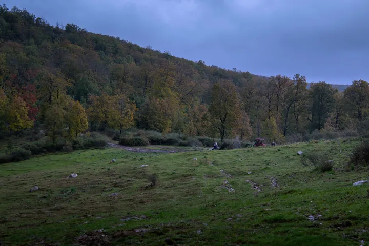 Forest Landscape With Tractor And Quad — original wallpaper
