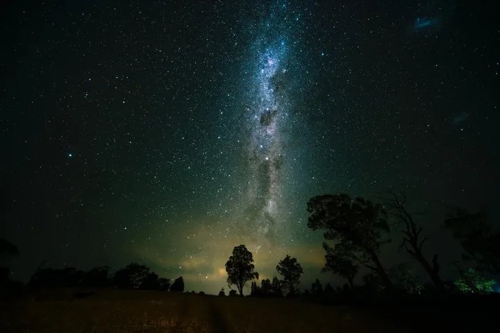 Starry Sky Over Field With Trees wallpapers