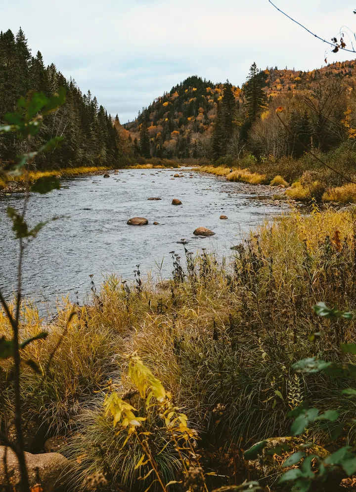 Autumn River Hills Forest Landscape — original wallpaper