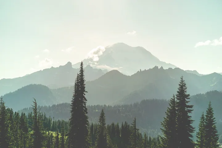 Mountain Range With Lush Forest And Fog — original wallpaper