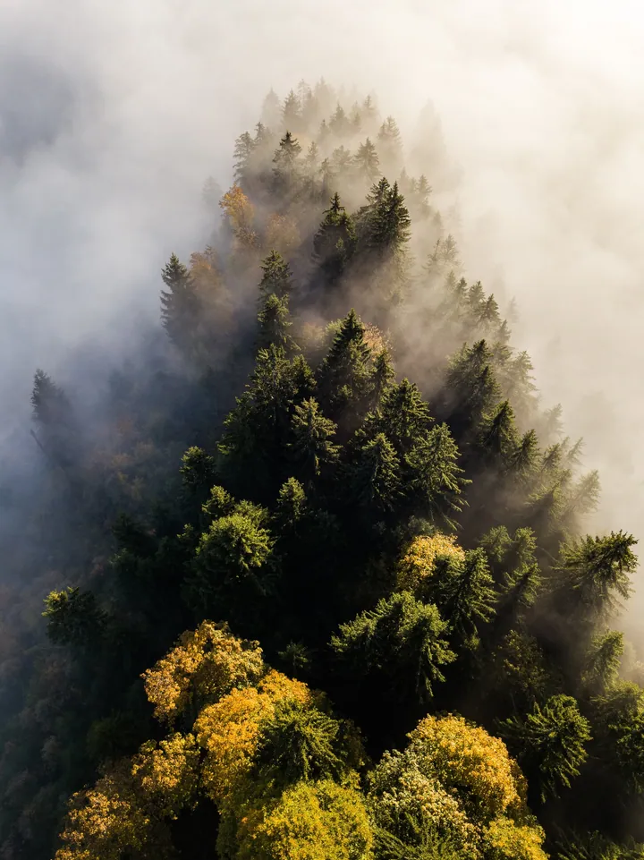 Aerial Forest Fire Smoke wallpapers
