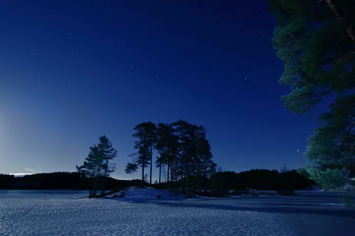 A snowy field with trees in the background and a full moon in the night sky