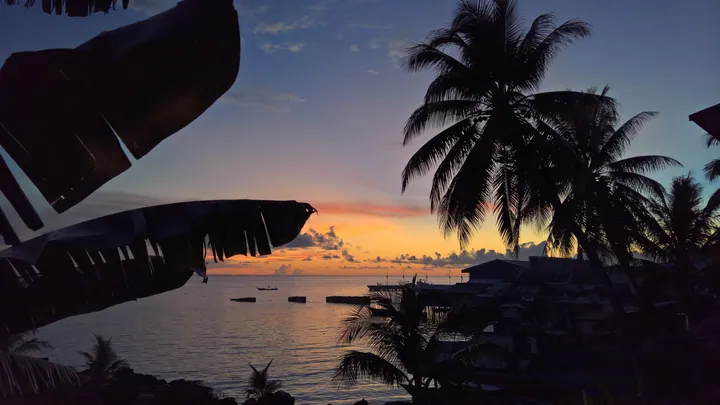 A beautiful sunset over the ocean with palm trees in the foreground