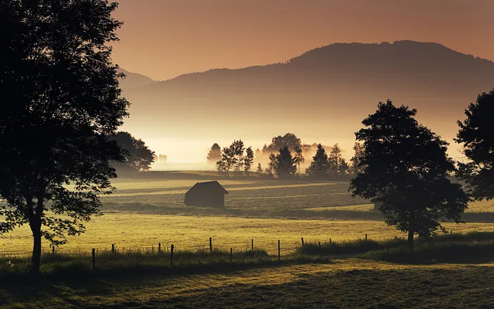 A field with trees and a fence in the foreground, and in the background there are hills and a clear blue sky