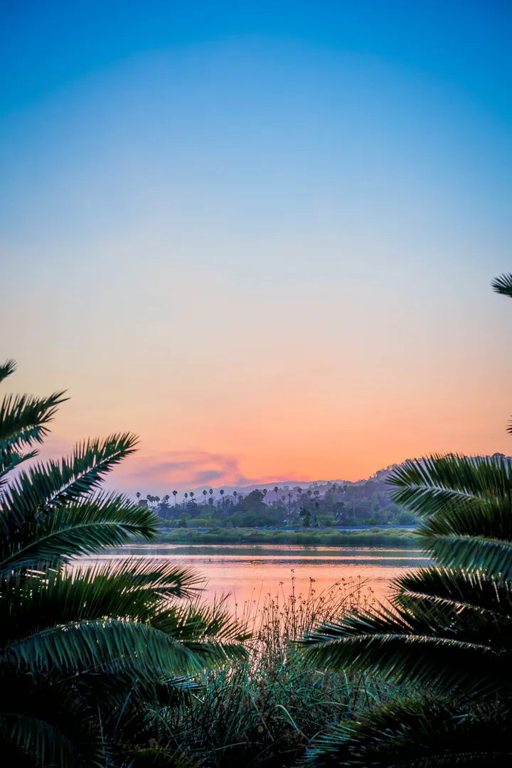 A beautiful sunset over a body of water with palm trees in the foreground, surrounded by lush green grass and trees, with a hill in the background and