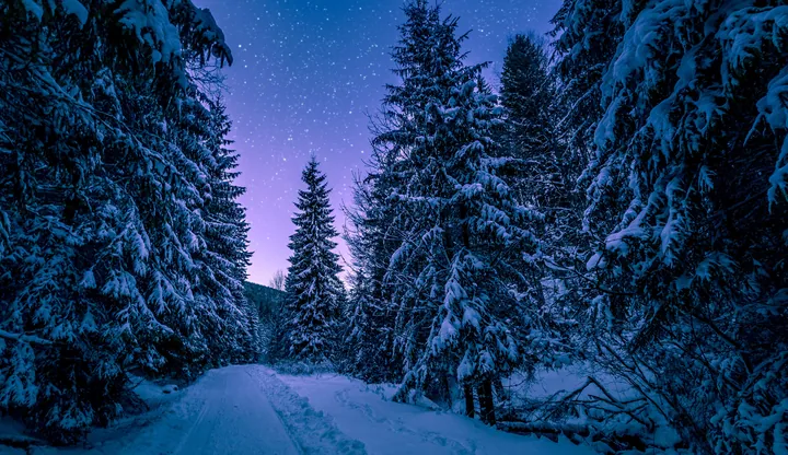Snowy Forest Road Under Starry Night Sky wallpapers