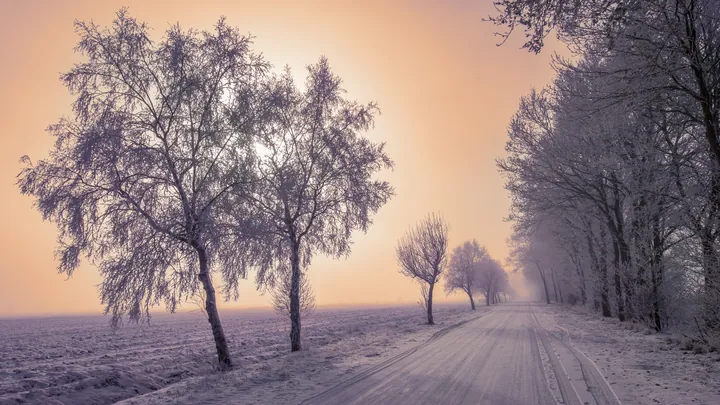 Snowy Road Amidst Trees And Fog — original wallpaper