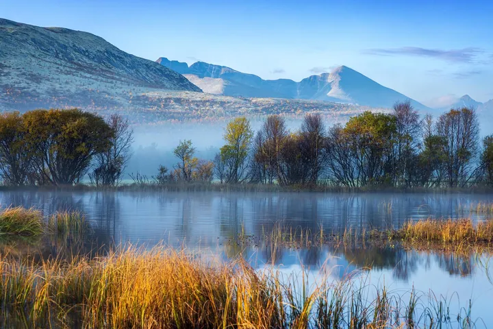 Misty Lake And Reeds In Folldal — original wallpaper