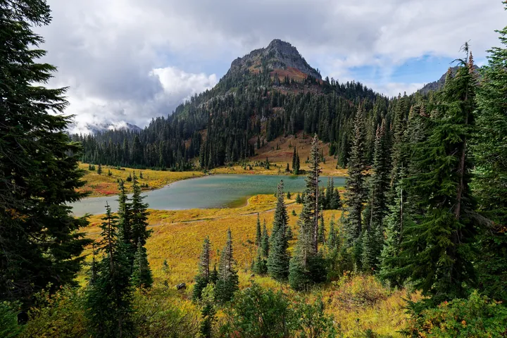 A small lake surrounded by trees in the middle of a forest, with a mountain in the background