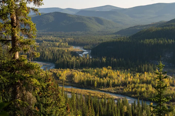 A river running through a lush green forest with trees and mountains in the background, and a clear blue sky above