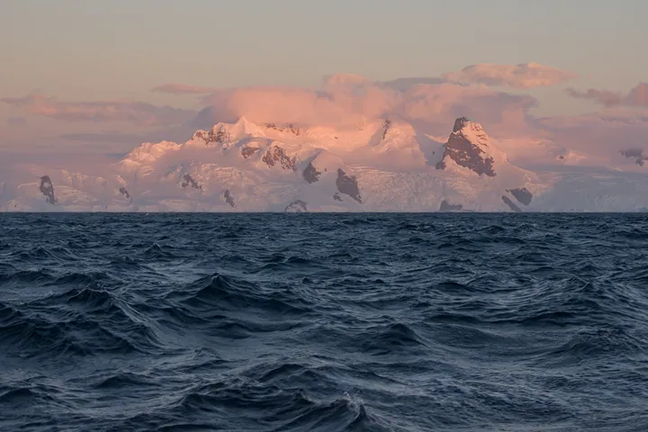 A group of humpback whales swimming in the ocean with a mountain in the background and clouds in the sky
