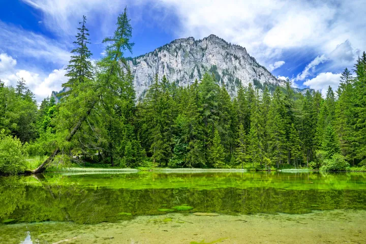 A mountain with a lake in the foreground, surrounded by lush green grass and trees