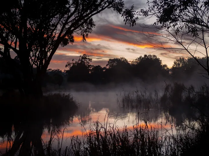 Dark Twilight Lake With Trees And Fog wallpapers