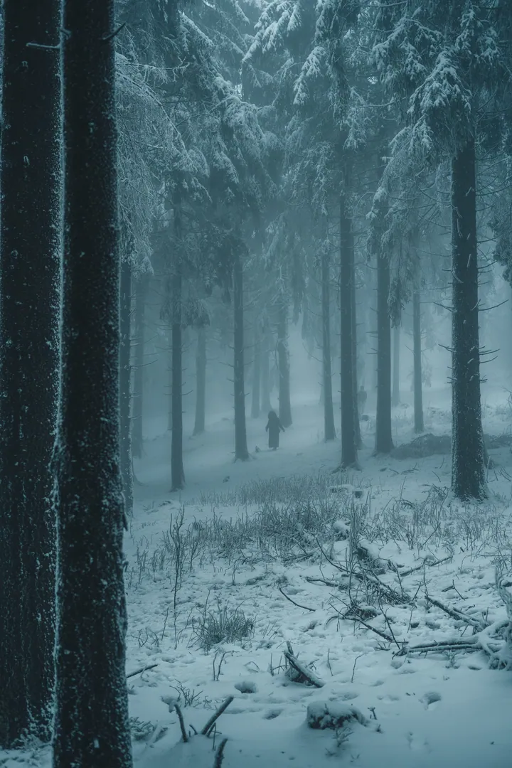 A person walking through a snowy forest at night, surrounded by tall trees and plants covered in a blanket of snow